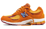 Кроссовки Salehe Bembury X New Balance Nb 2002R "Peace Be The Journey"