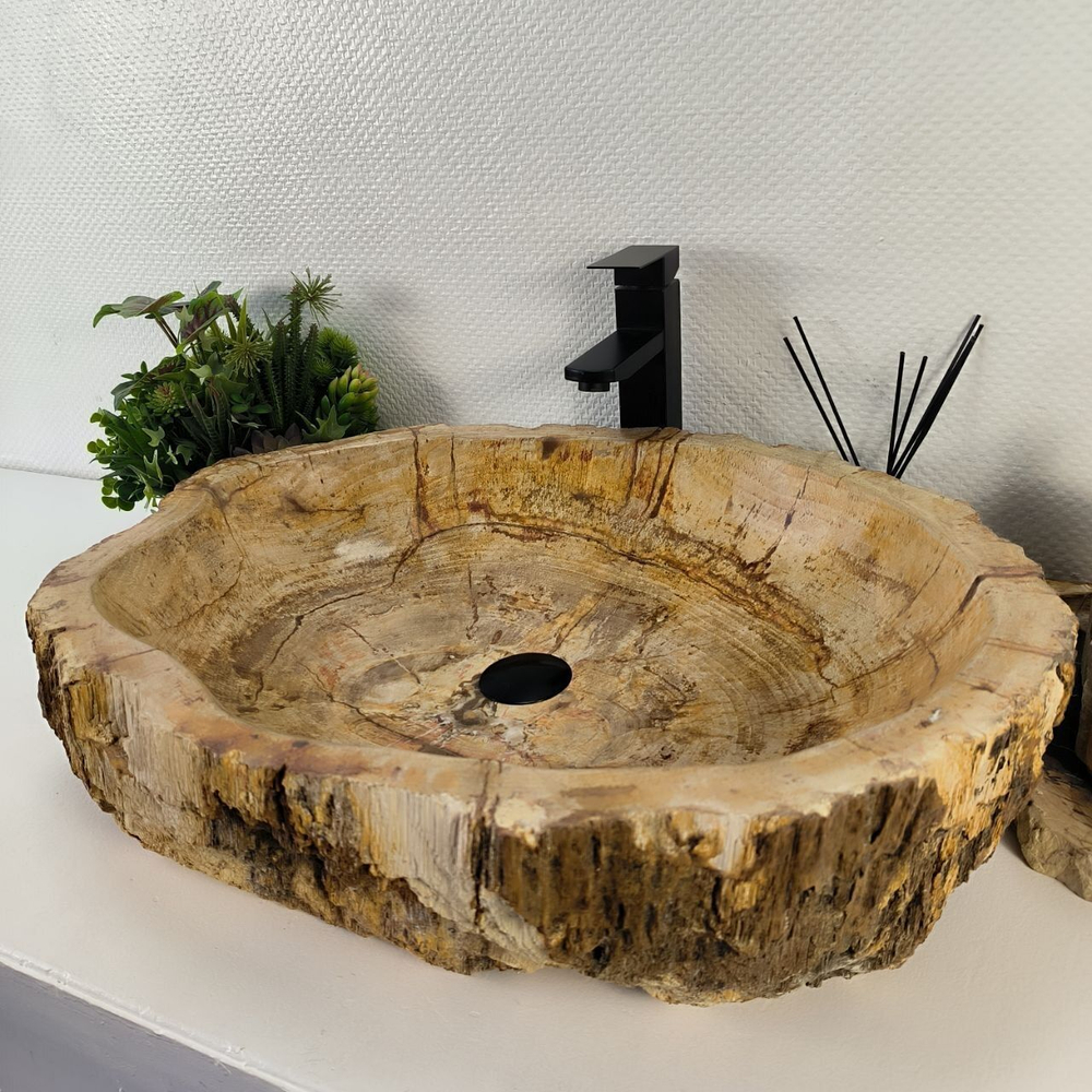 Каменная раковина из окаменелого дерева OD-04822 (67*51*16) 0176 из натурального камня