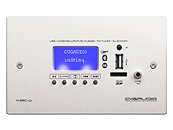 CVGAUDIO N-SRC-W внешний универсальный настенный источник сигнала