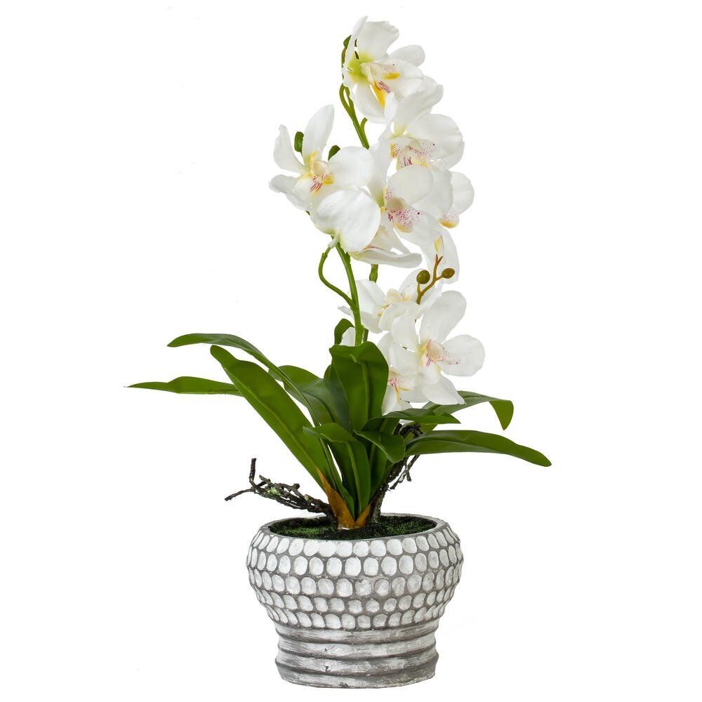 GAEM Цветочная композиция "Орхидея", L25 W23 H41 см