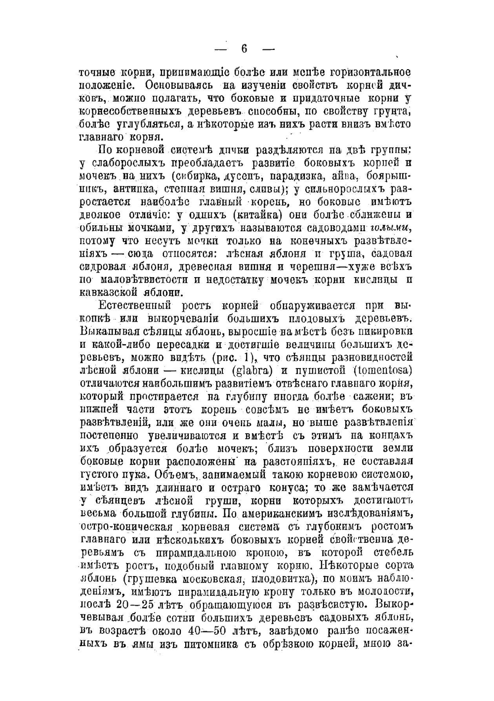 Как правильно посадить плодовое дерево: Руководство к подготовке почвы и норм. посадке плодовых деревьев | Рытов Михаил Васильевич