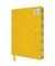 Bloknot \ Блокнот \ Notebook Vincent van Gogh: Sunflowers Artisan Art Blank Notebook (Flame Tree Journals)