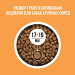 Bowl wow корм сухой для взрослых собак крупных пород: индейка, курица, рис, тыква