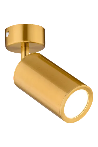 1031G/1 GOLD (1/30) Светильник (RL)