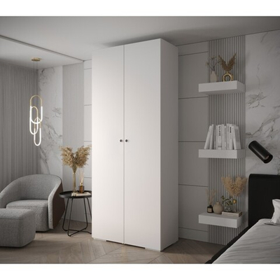 Распашной двухсекционный шкаф Тион-2 Белый Фасадный 0101  120*50*240