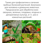 Neem Oil / Масли НИМ, средство от болезней и вредителей