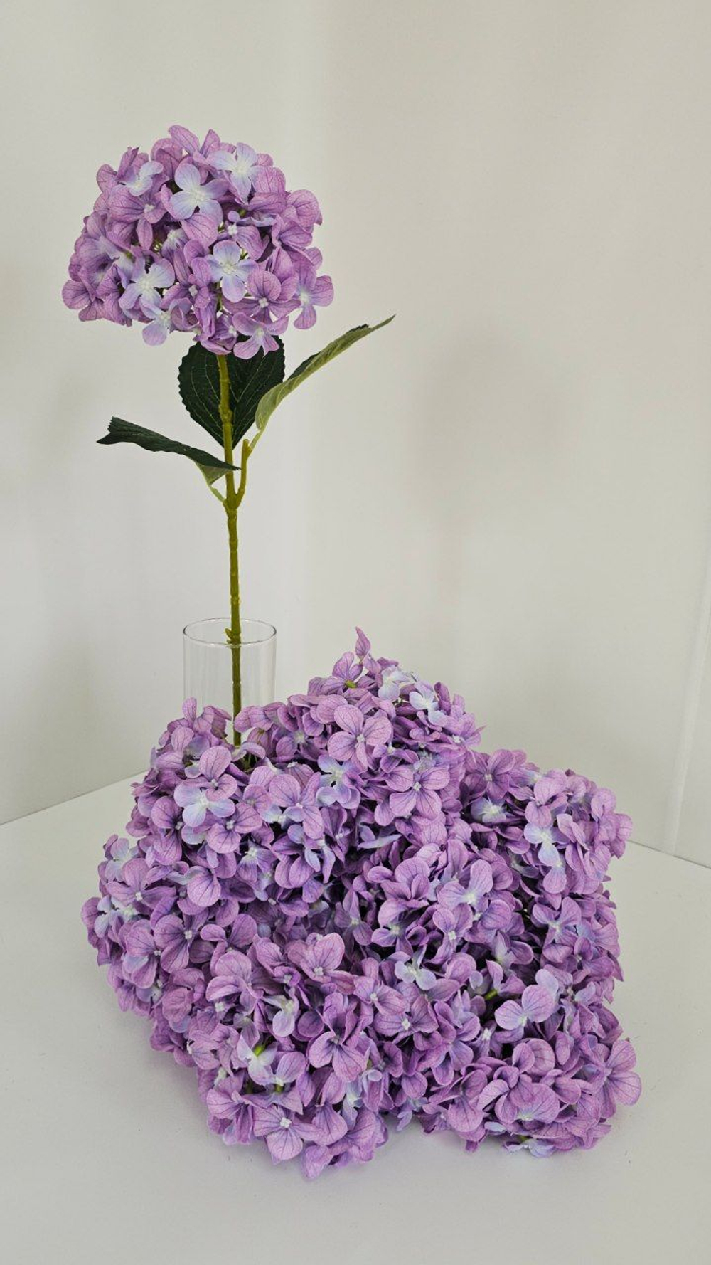 Гортензия / Арт 2099