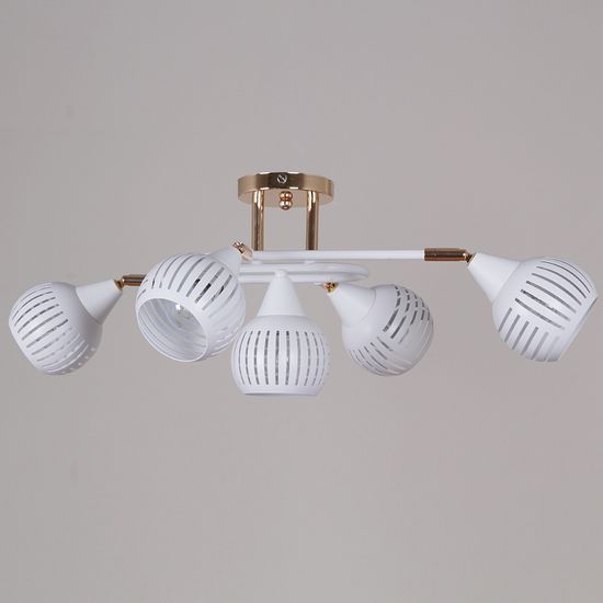 70059-3.3-05 FG+WH светильник потолочный