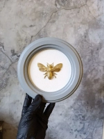 Панно 18 см. насекомые на стену для интерьера Пчела