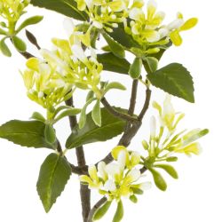 GAEM Цветок искусственный "Стефанотис", L16 W12 H60 см