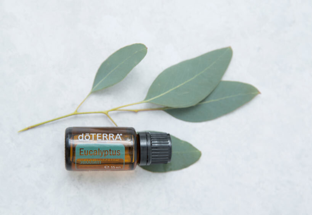 Смесь эфирных масел doTERRA Эвкалипт (из 5-ти уникальных видов), Eucalyptus, 15 мл