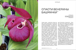 Цветоводство ЗИМА 2024/25