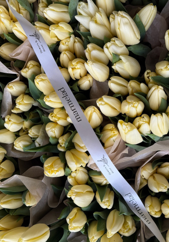 ТЮЛЬПАНЫ