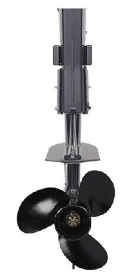 2х-тактный лодочный мотор ALLFA CG T5