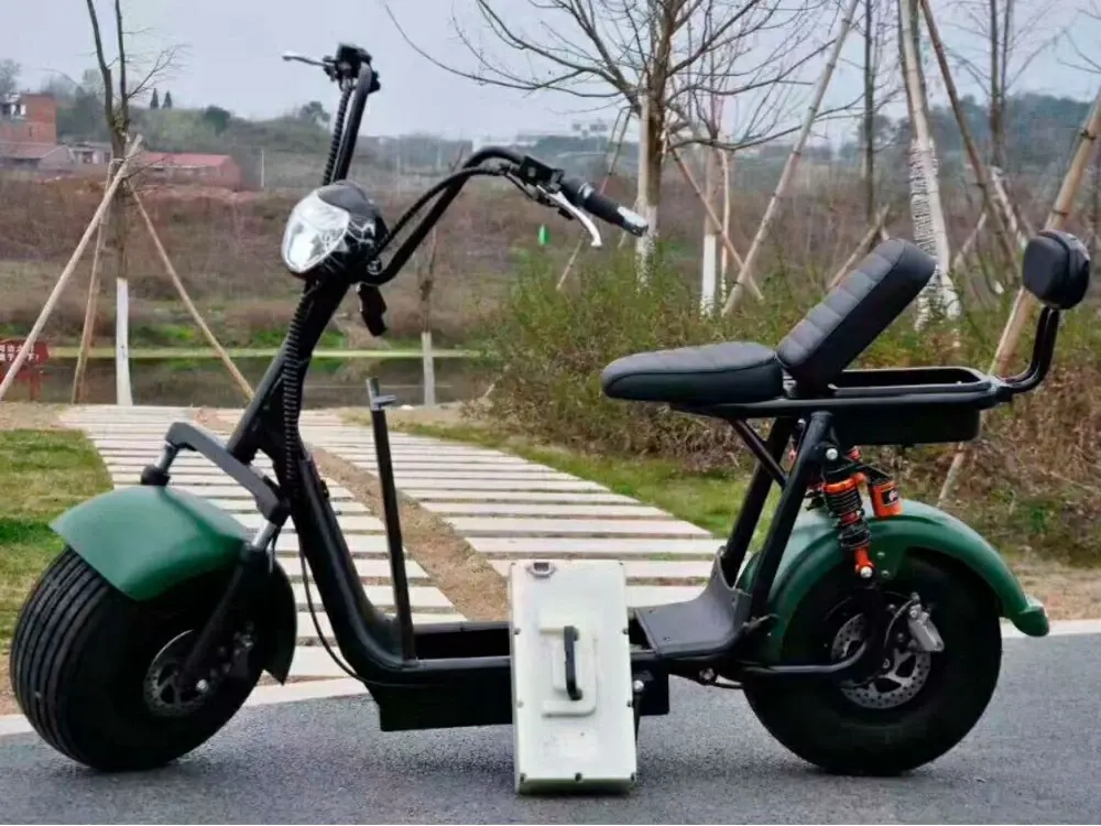 Электроскутер Citycoco X6 Double Seat