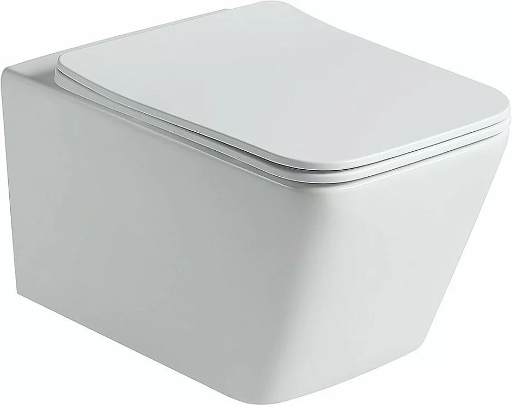 Унитаз подвесной SantiLine SL-5007T-MW белый матовый, безободковый, с крышкой микролифт, слив торнадо