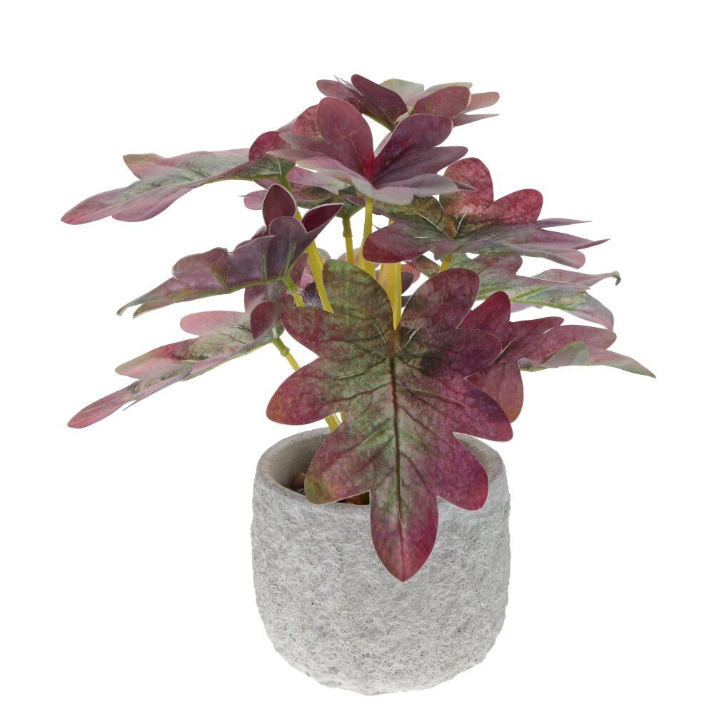 GAEM Цветочная композиция, L23 W23 H27 см