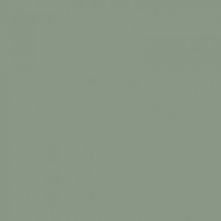 41zero42 Pixel41 Musk 11.5x11.5