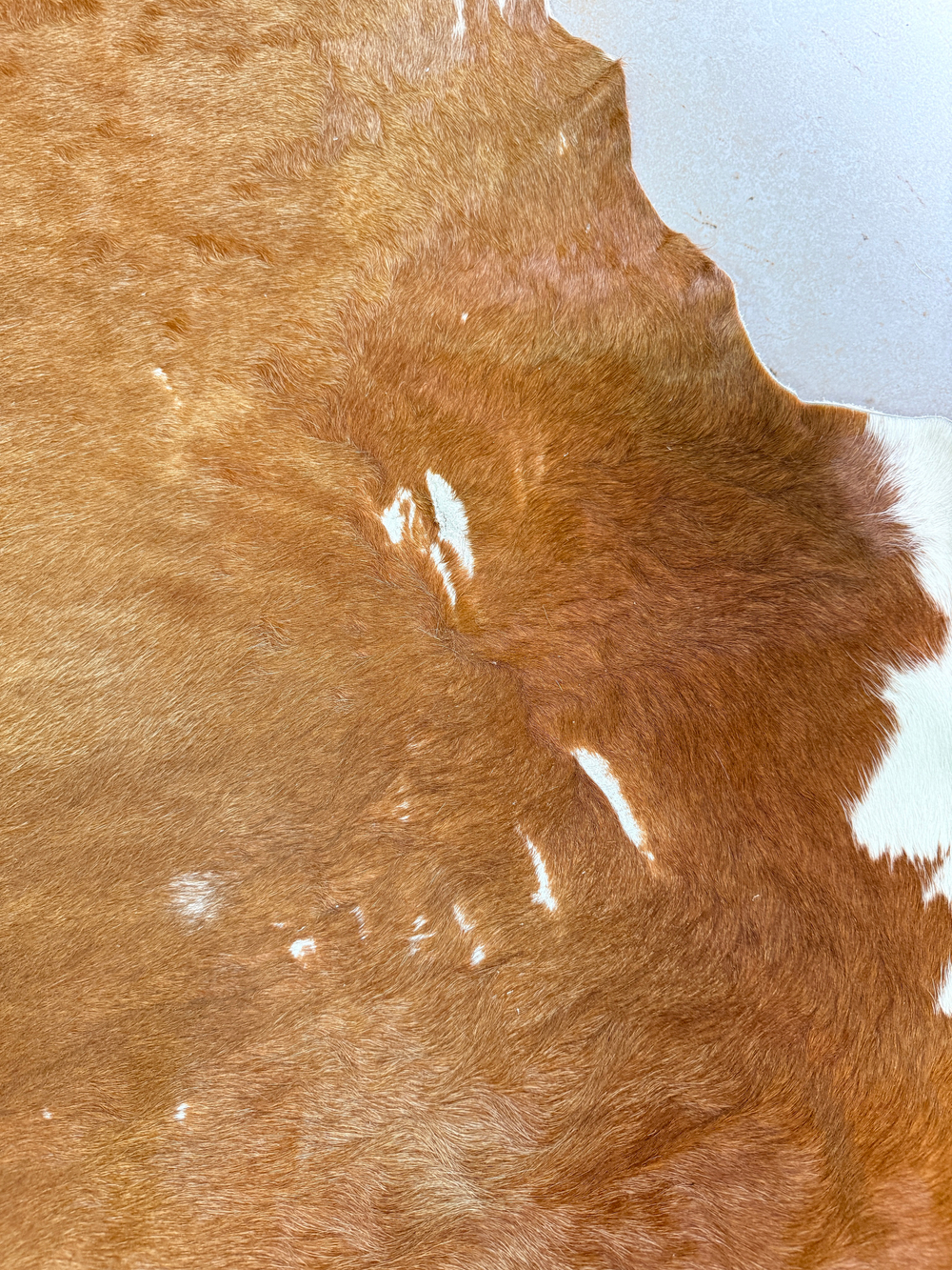 Коровья шкура на пол натуральная. 200 х 190 см