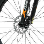 Горный велосипед Welt Ridge 1.1 D 29 (2024)