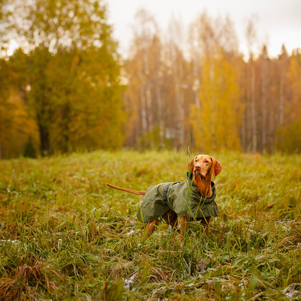 Попона Pets Sky rain coat Rukka