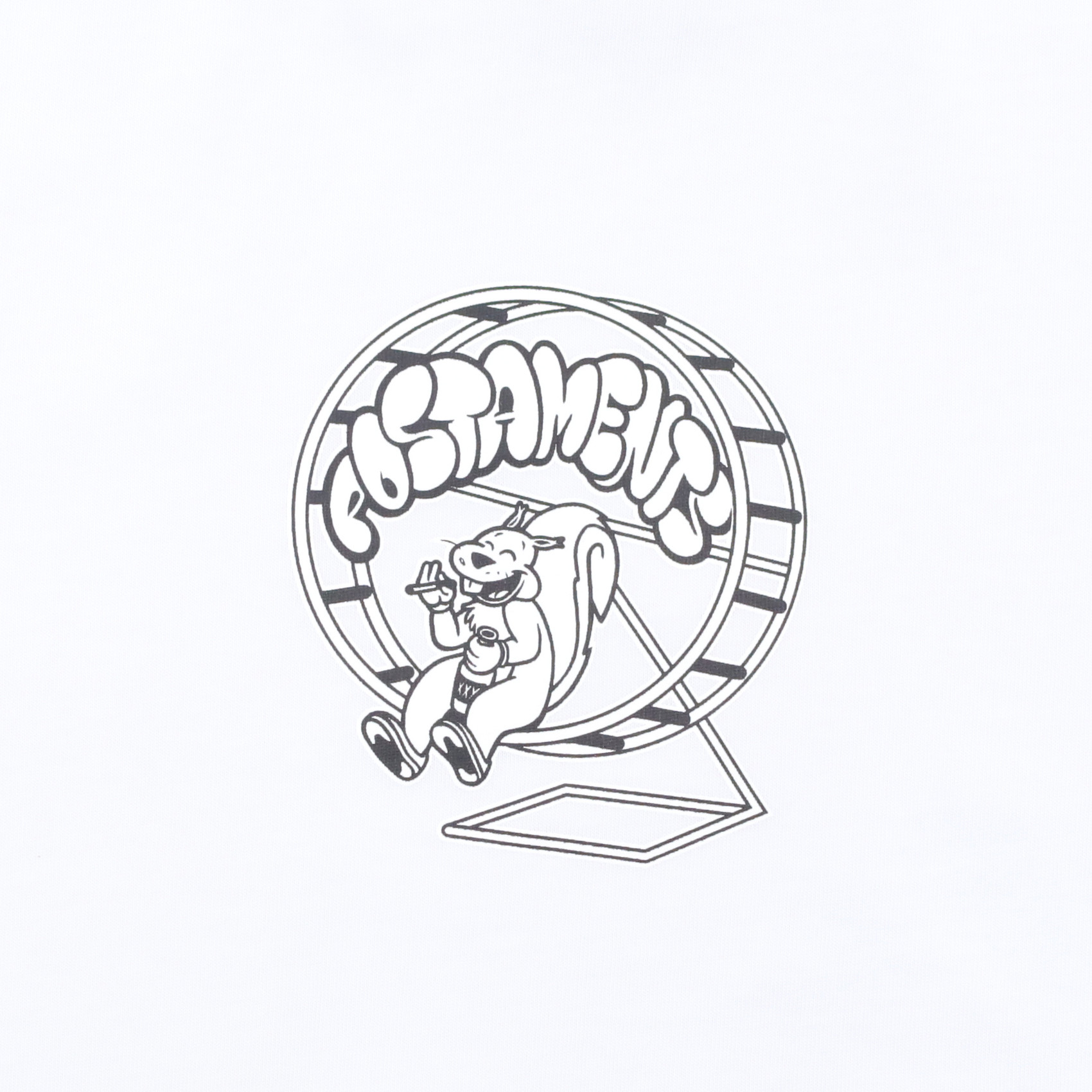 Футболка Postaments Squirell (white) артикул: - купить в магазине Дайс
