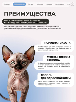 Корм сухой для котят породы Канадский сфинкс, с лососем, 2 кг, QUATTRO
