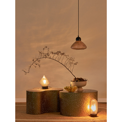 Светильник подвесной Bergenson Bjorn Frozen Light bb0000553