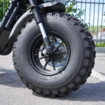 EcoMoto Lion Off-Road E1200W Back Edition