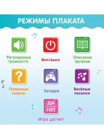 Обучающий плакат Изучаем анатомию: Моё тело
