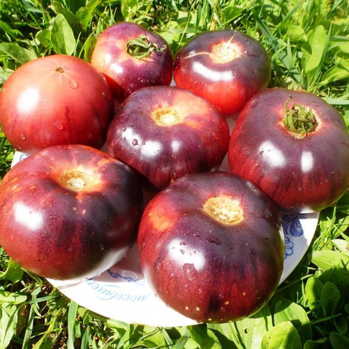 Помидоры - Amethyst Jewel - Аметист