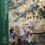 Paul McCartney And Wings / Wild Life (LP)