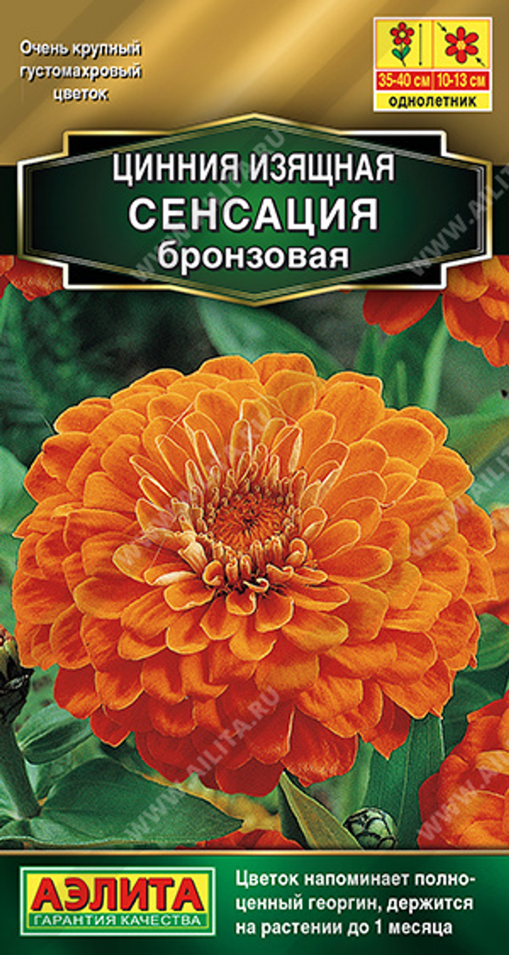 Циния Сенсация бронзовая 12шт Аэлита