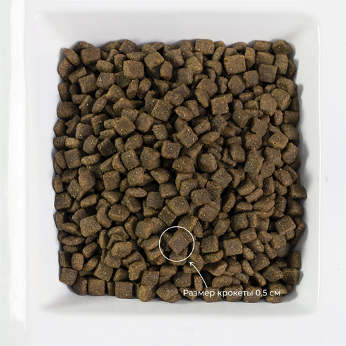 Livera корм сухой полнорационный для котят