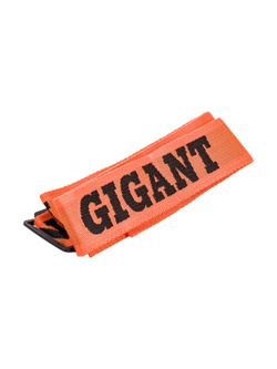 Инверторный сварочный аппарат (250 А; дисплей; кабель 2.5+1.5 м) Gigant GWM-250