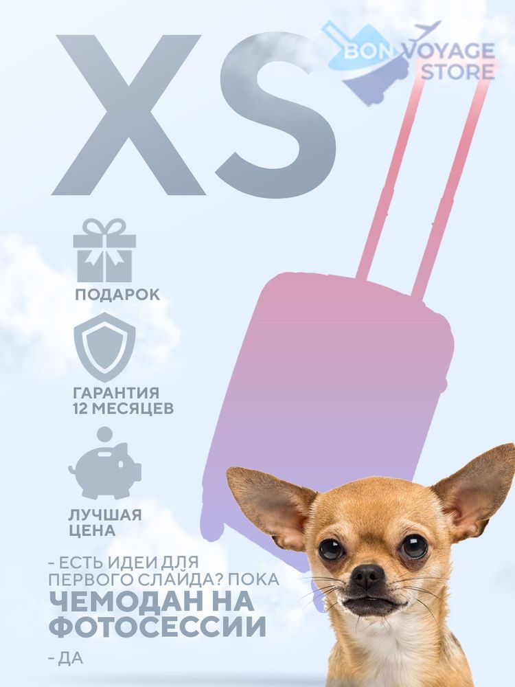 Ручная кладь Bon-Voyage Model Ten, Черный, XS