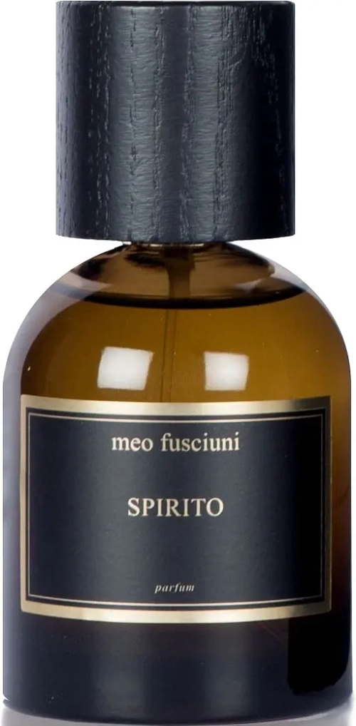 MEO FUSCIUNI SPIRITO PARFUM 100 ML