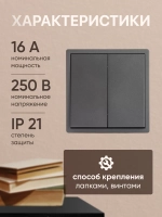 Выключатель двухклавишный внутренний с рамкой серый