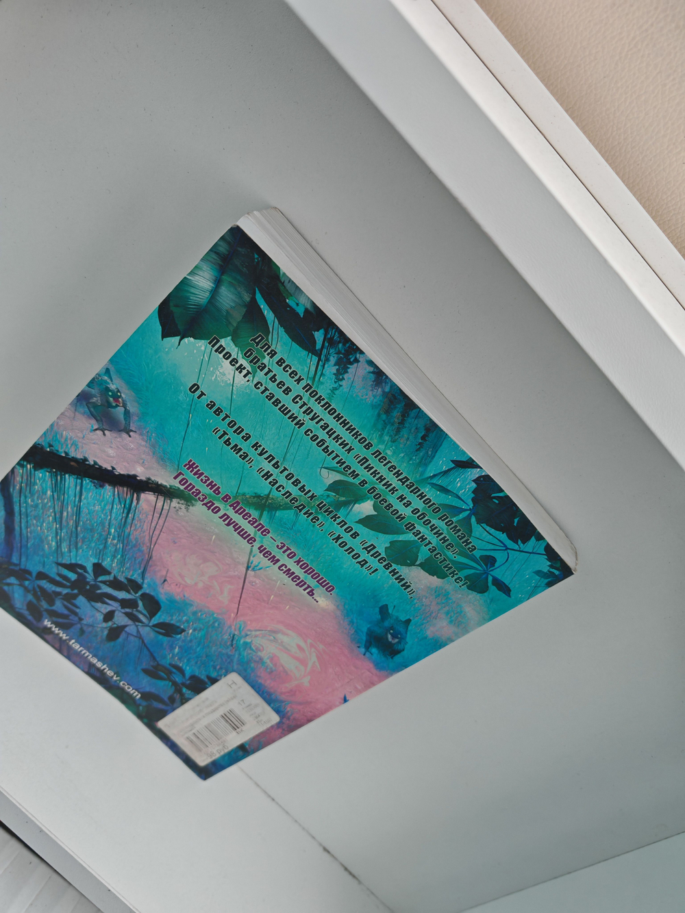 Ареал. Государство в государстве