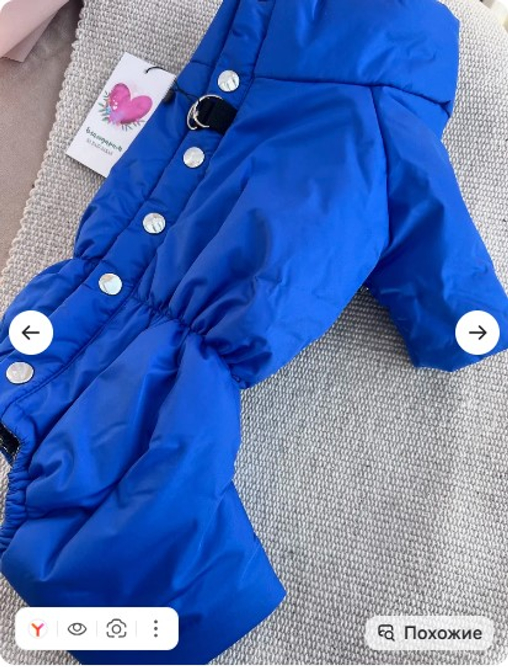 Зимний комбинезон для собак (мальчик)