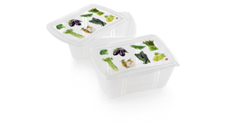 Набор контейнеров 2шт 2л SNIPS Fresh для СВЧ и заморозки