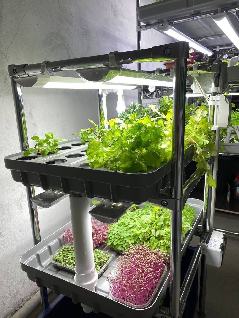 Домашняя гидропонная установка