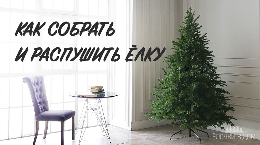 Как правильно собрать ёлку и расправить ветки: советы от компании «Ёлочки в Дом»