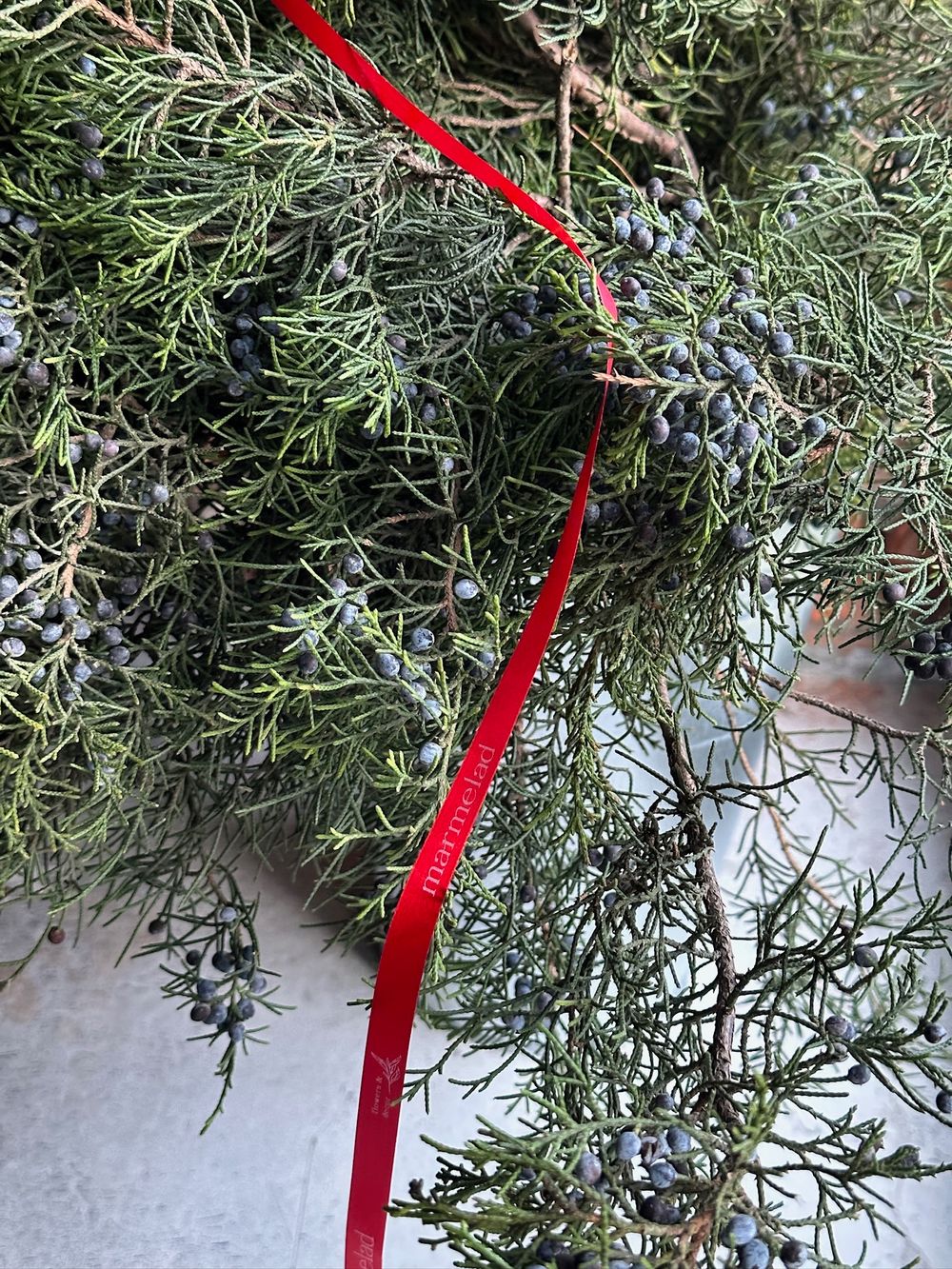 Ветка хвои - МОЖЖЕВЕЛЬНИК