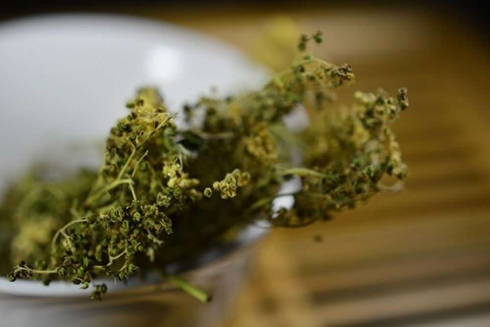 Таволга, цветы