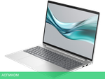 Ноутбук HP EliteBook 665 G11 Silver (8Z717AV)