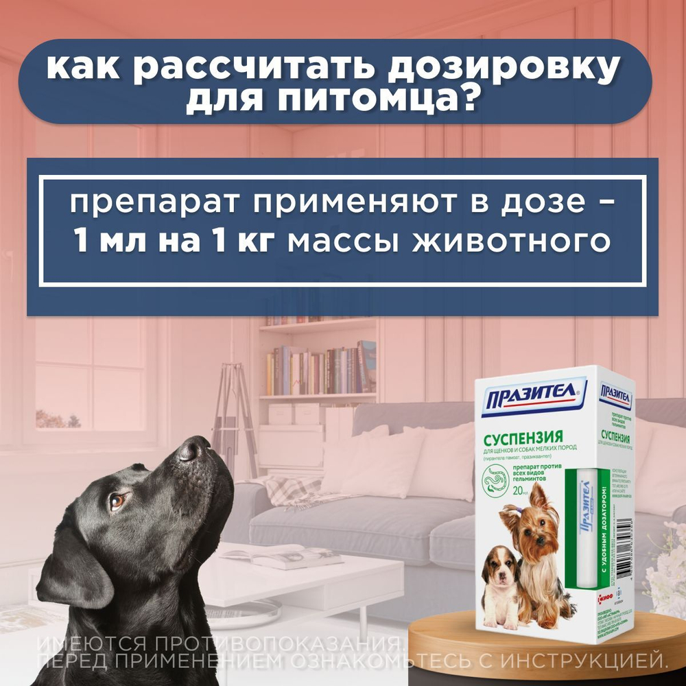 Суспензия от гельминтов для щенков и собак мелких пород Празител, 20мл Празиквантел/Пирантел