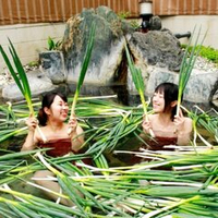 Зеленый Японский Лук Фукая - 深谷ねぎ