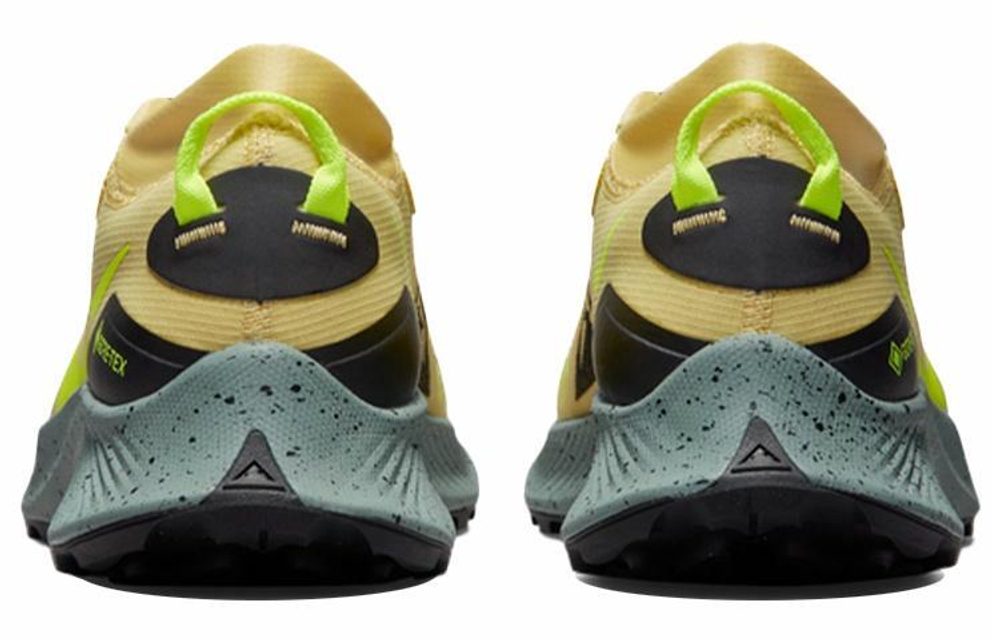 Кроссовки Nike Pegasus Trail 3 Gtx