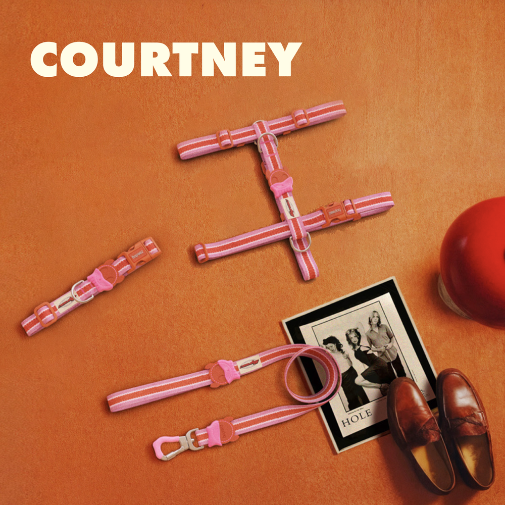 Поводок COURTNEY VELVET VIBES 120 см Zee.Dog